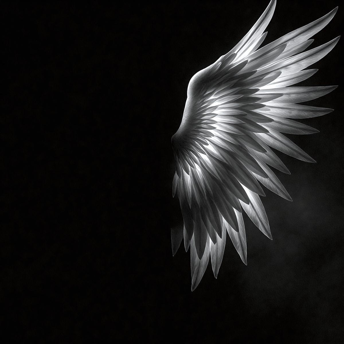 9226 - the-angel-and-the-shadow-a-luminous-angel-wing-contra_250708093041_00001.png